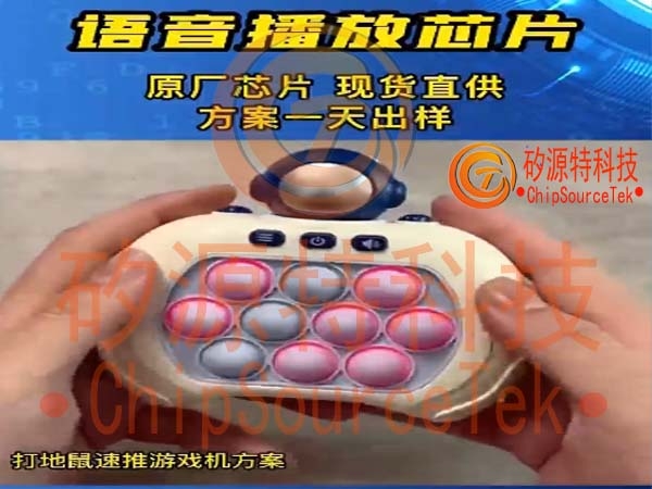 The Voice IC Solution for the Ground Squirrel Speed Push Game Machine